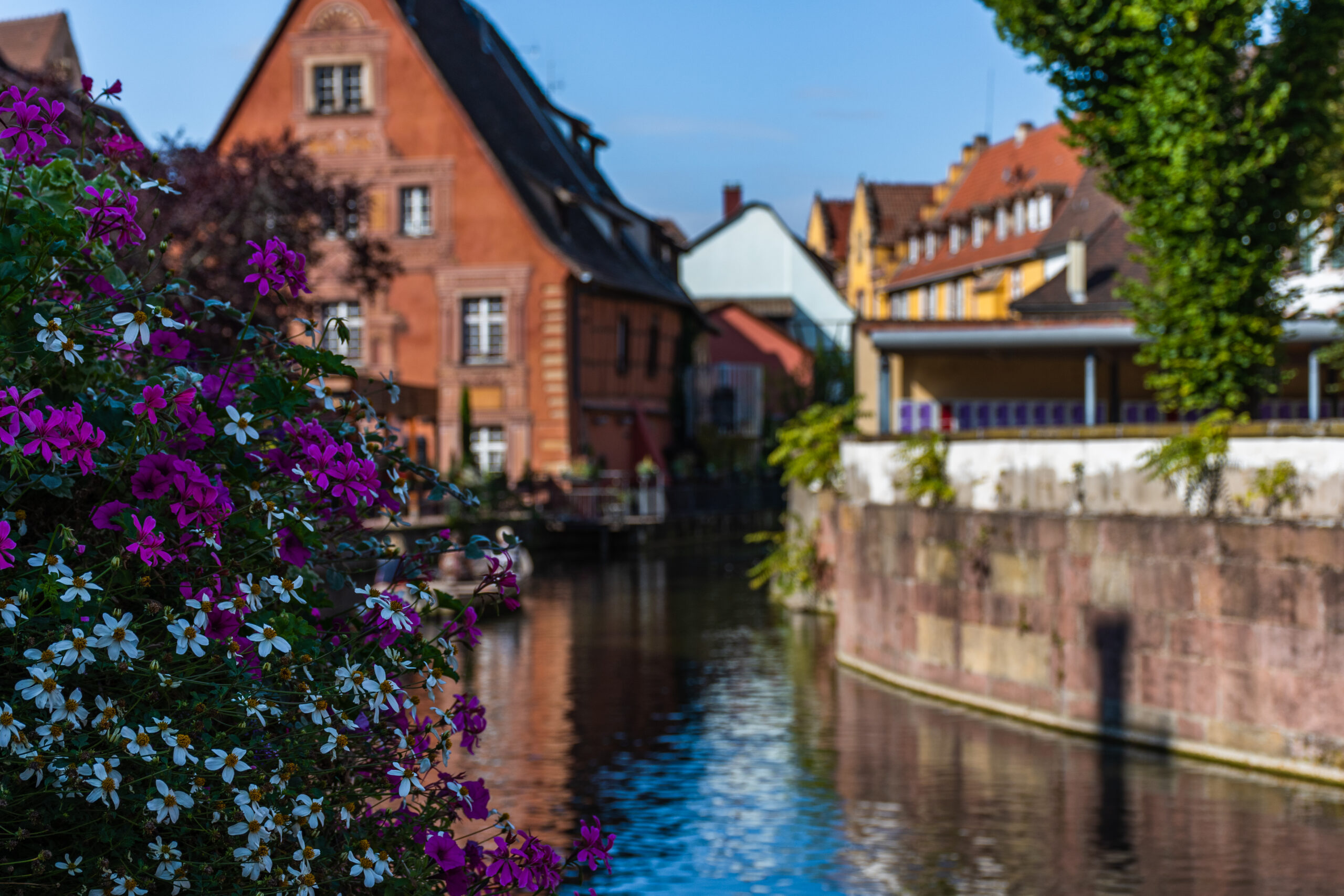 Colmar-9249 Colmar-9249
