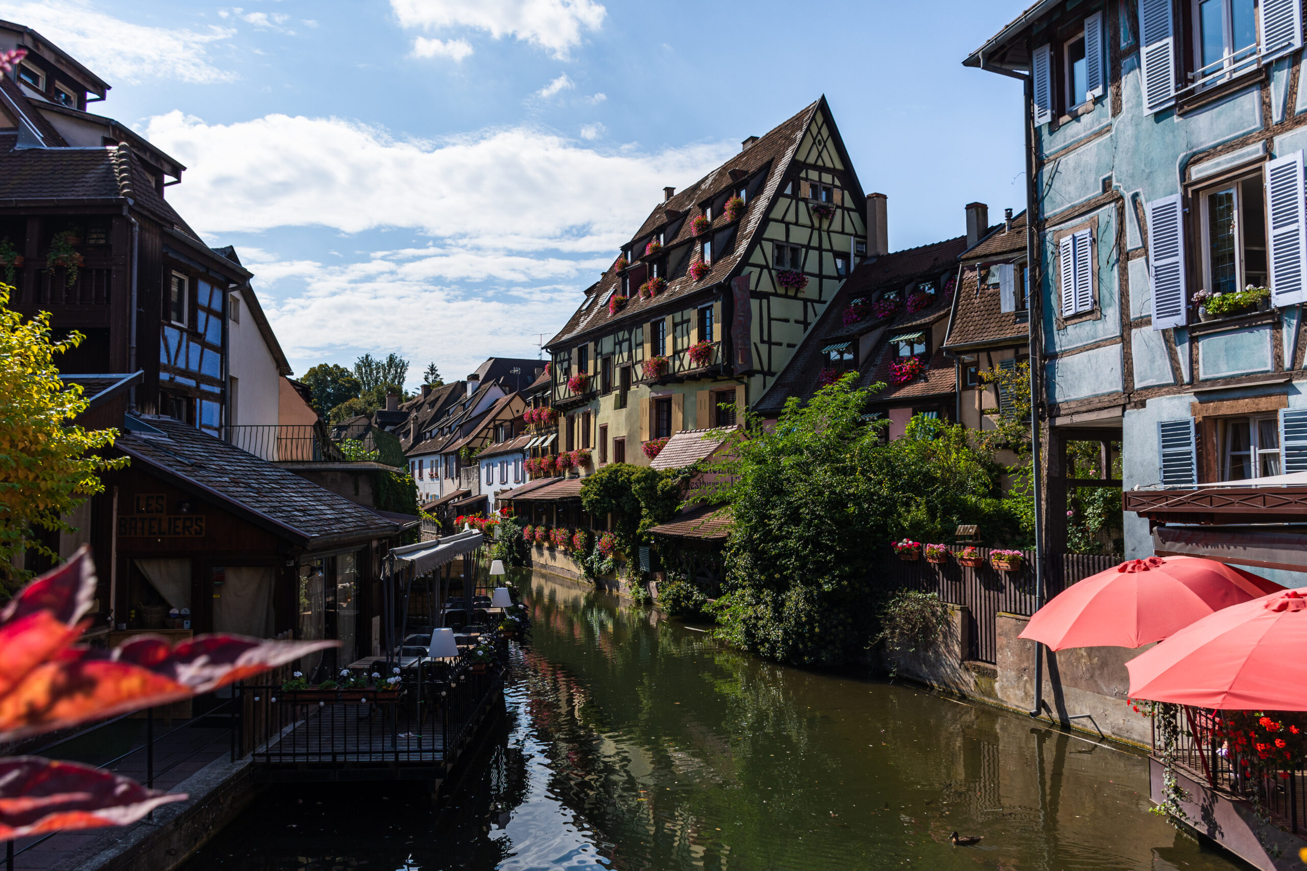 Colmar-9262 Colmar-9262