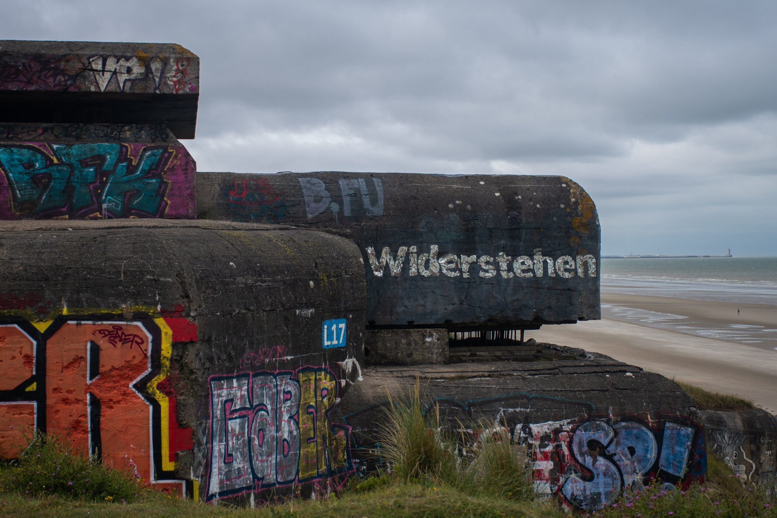 DSC_3737 DSC_3737