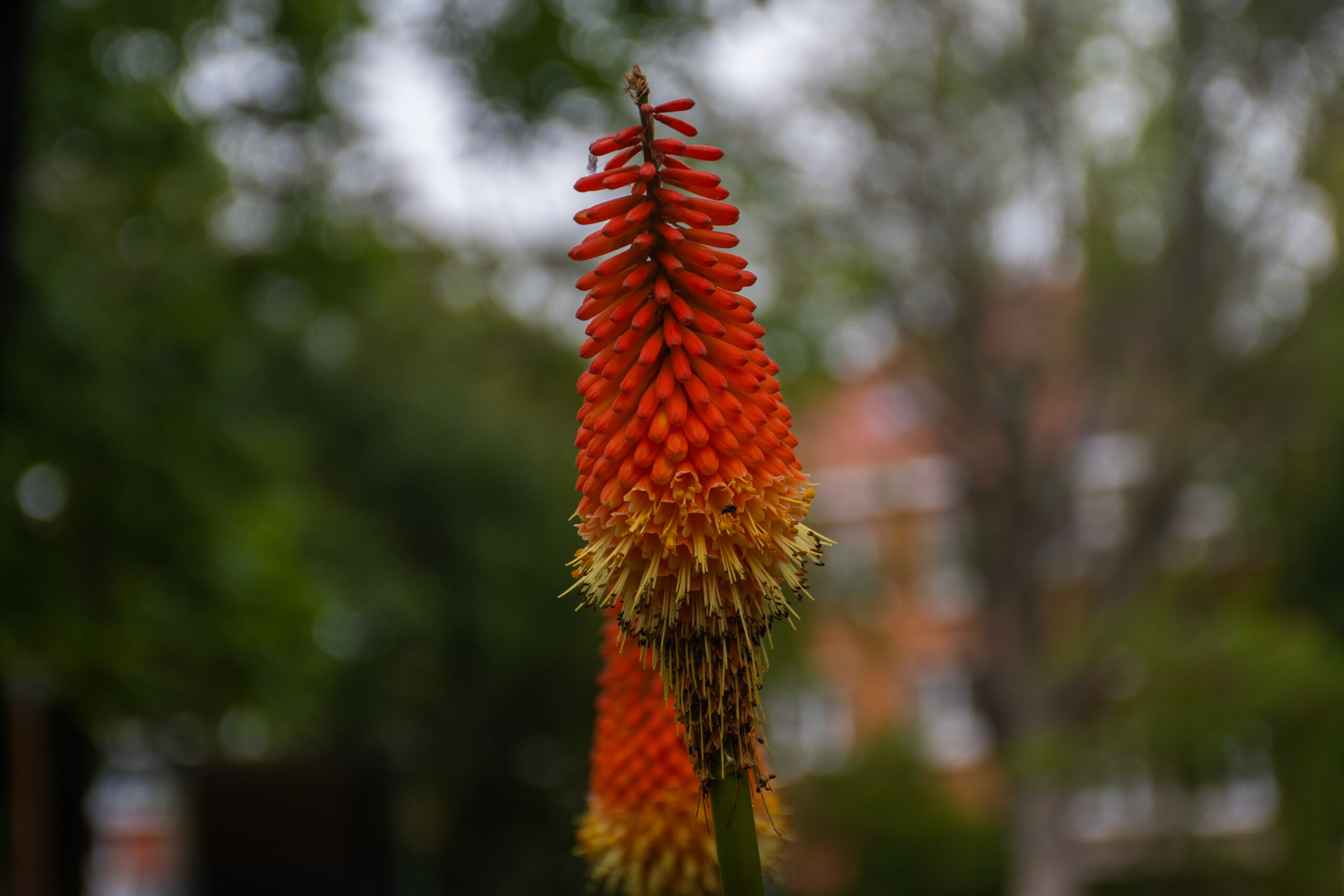 DSC_3844 DSC_3844
