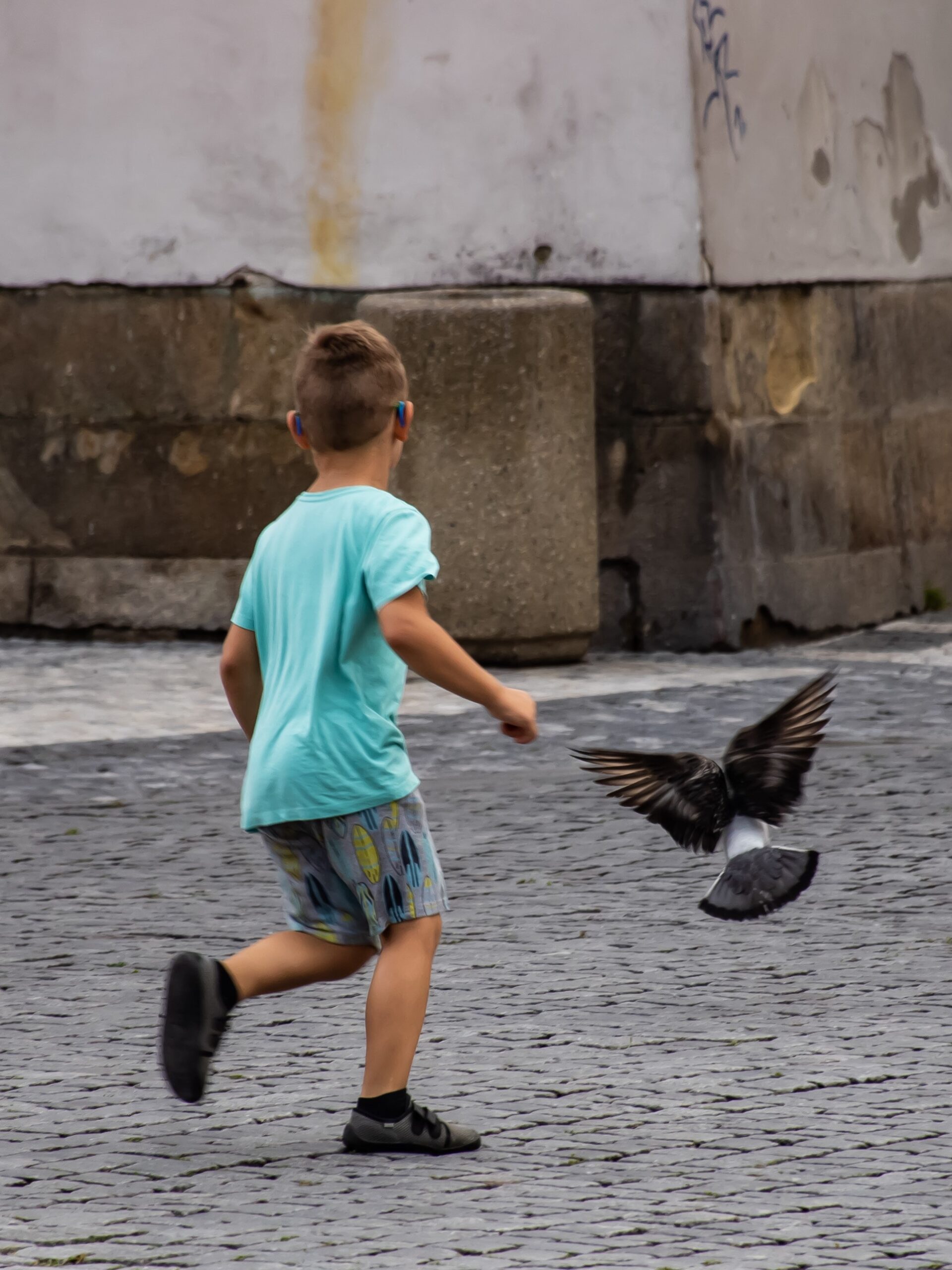 Kid chasing a pigeon.